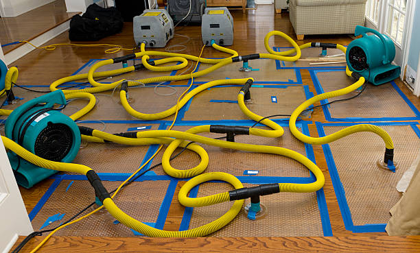 Professional Basement Flood Cleanup technician working in Watervliet, NY